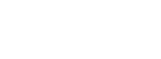 Державна митна служба України